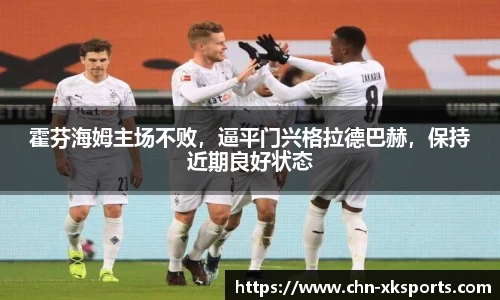 霍芬海姆主场不败,逼平门兴格拉德巴赫,保持近期良好状态